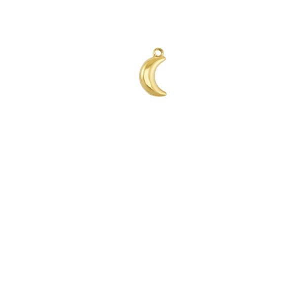 CHARM LUNA GOLD